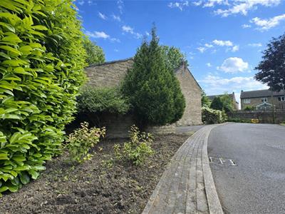 Picture 27